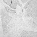 Luca Campestri 卢卡·坎佩斯特里, A familiar feeling 熟悉的感觉, 2026