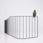 Elizabeth Jaeger 伊丽莎白·耶格, Bird 鸟, 2020