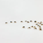 Elizabeth Jaeger 伊丽莎白·耶格, Beetles 甲壳虫, 2024