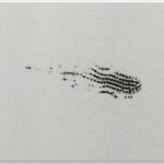 Alice Wang 王凝慧, Untitled 无题, 2018