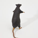 Elizabeth Jaeger 伊丽莎白·耶格, Rat 老鼠, 2024