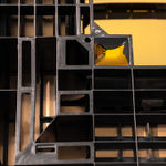 Leelee Chan 陳麗同, Shape Shifter 变形者, 2016