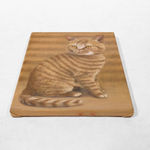 Miranda Fengyuan Zhang 张丰渊, Lights on the Window 窗上光影, 2022