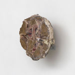 Chris Oh 克里斯·吴, Faint 赢弱, 2023