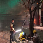 Thumbnail of additional image