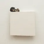 Ze Tepedino Segurando Um Espelho Set23 Detalhe Galo