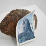 Ze Tepedino Segurando Um Espelho Set23 Detalhe Lembrei De Voce