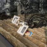 Sandra Cinto, O Ilha , 2008