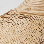 Zé Carlos Garcia, peixe carranca, 2023