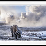 David Yarrow, Wall Street Stories (Color), 2026