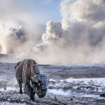 David Yarrow, Wall Street Stories (Color), 2026