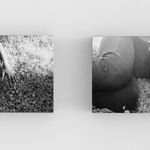 Binta Diaw, Radici Sospese, 2016