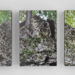 Binta Diaw, Radici Sospese, 2016