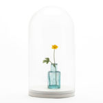 Mary Lloyd Jones, Hedland / Pentir, 2007