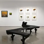 Daniel Crawshaw, Elan 2, 2026