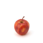 John Macfarlane, Trees and Shadows, Walnut Creek, 2025