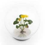 Gethin Evans, City of Water 1, 2024