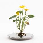 Gethin Evans, City of Water 1, 2024