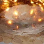 Jean-Gabriel Neukomm, Nephelepsis , 2021