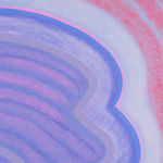 Lily Stockman, Viola, 2025