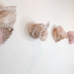 Kelly Sheppard Murray, 29. Just a Hint (Curiosity)