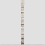 Jared Bark, Gold Book Stack, 2018