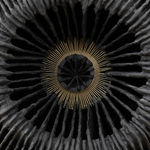 Whitney Oldenburg, Finding the future, 2023