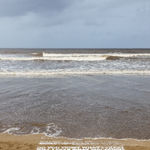 Reena Saini Kallat, Synonym, 2009