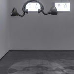 Reena Saini Kallat, Synonym, 2009