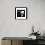 Zedsy, Animals, 2018