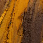 Claire Baker, one petal, rippling, 2024