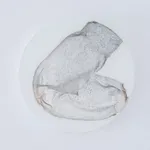 Helen Barff, Many and many a day like this, series 1, (5), 2021