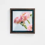 Mariano Vivanco, Kitchen Still Life, Iquitos, 2022