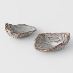 Joe Sweeney, The World's Your Shell, 2023