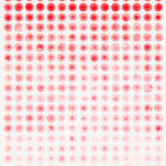 Mio Yamato, Repetition Black (line) 6, 2018