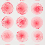 Mio Yamato, Repetition Black (line) 6, 2018