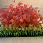 VALLABHANENI Devi, Etude lavender