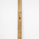 Melania Toma, About Soil, Decomposition and Saprotrophic Entities, 2024