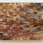 Melania Toma, About Soil, Decomposition and Saprotrophic Entities, 2024