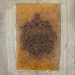 Melania Toma, About Soil, Decomposition and Saprotrophic Entities, 2024