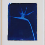 Nigel Scott, Julie Diving, Maillot Noir et Blanc, back, 1985