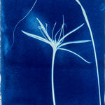 Nigel Scott, Julie Diving, Maillot Noir et Blanc, back, 1985