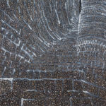 Peter Campbell, Rogue Fractal, 2018