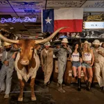 David Yarrow, Yellowstone