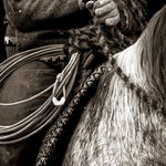 Guillaume Beau de Lomenie, Winter Coat