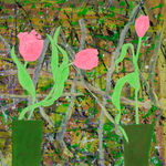 Dione Verulam, Tulips