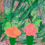 Dione Verulam, Roses