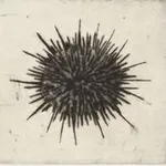 Kate Boxer, Patricia Highsmith (London Gallery)