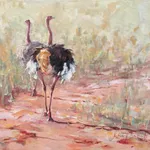 Julia Cassels, Flamingo Steps