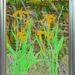 Dione Verulam, Flag Irises